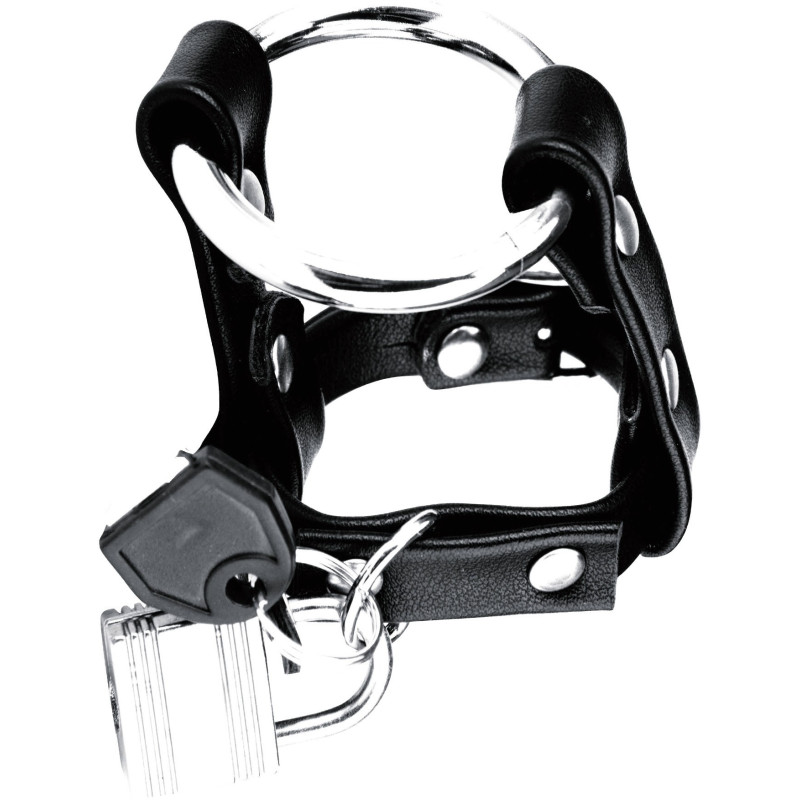 Cockring C&B Metal Cock Ring & Locking Ball Strap