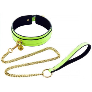 Collier et laisse phosphorescent Luminious vert fluo