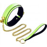 Collier et laisse phosphorescent Luminious vert fluo