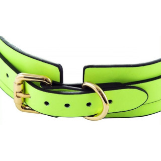 Collier et laisse phosphorescent Luminious vert fluo