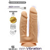 Double vibro ventouse chair 8" et 7" SilexD USB