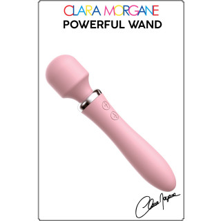Powerful Wand & Vibro USB rose