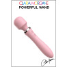 Powerful Wand & Vibro USB rose