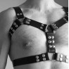 Harnais simili cuir noir Nail