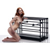 Cage en métal ajustable Kennel Puppy noire