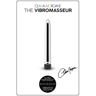 The Vibromasseur stimulateur 18cm silver