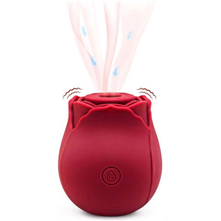 Stimulateur clitoris USB succion vibration Bouton de rose