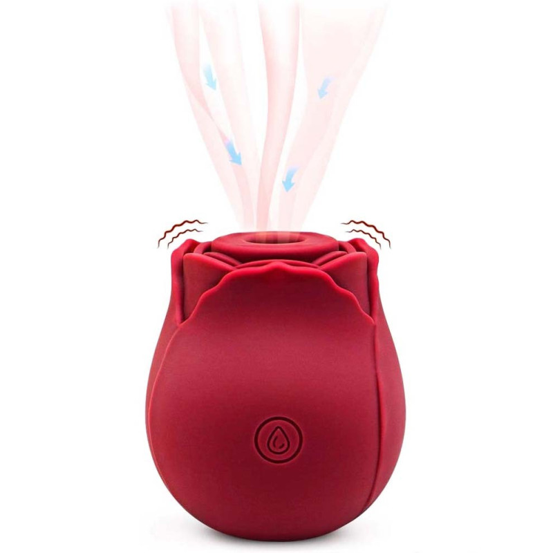 Stimulateur clitoris USB succion vibration Bouton de rose