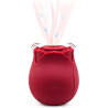 Stimulateur clitoris USB succion vibration Bouton de rose
