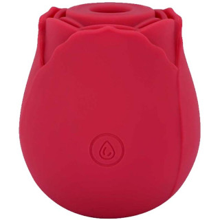 Stimulateur clitoris USB succion vibration Bouton de rose