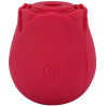 Stimulateur clitoris USB succion vibration Bouton de rose