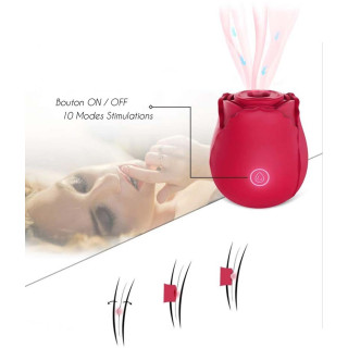 Stimulateur clitoris USB succion vibration Bouton de rose