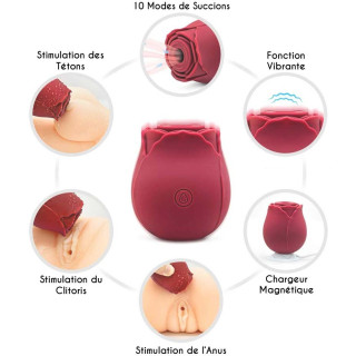 Stimulateur clitoris USB succion vibration Bouton de rose
