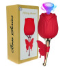 Double stimulateur clitoris USB Rose Flirting