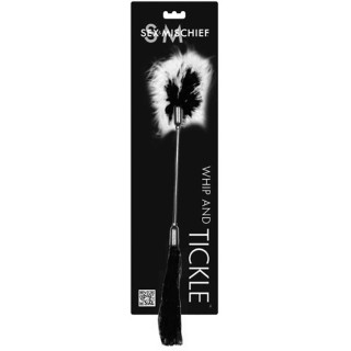 Fouet et plumeau noir