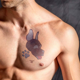 Tatouage éphémère PUPPY 10x15cm