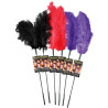 Backroom Plumeau de couleur en plume d'autruche Sportsheets