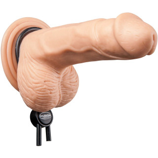 Cockring ajustable MALESATION