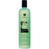 Gel bain & douche SHUNGA 500ml menthe