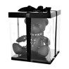 Ours en cuir Eddy the BDSM Teddy Bear dans sa boîte cadeau