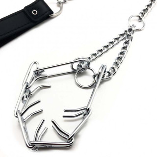 Laisse avec collier crochets pour pénis zoom sur les crochets