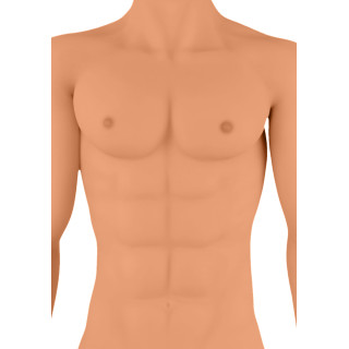 Poupée homme ultraréaliste Justin zoom torse