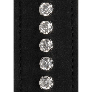 Collier et Laisse à strass Diamond Studded noir zoom sur les strass