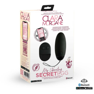 Oeuf vibrant SECRET EGG connecté télécommande noir packaging