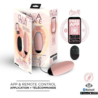 Oeuf vibrant SECRET EGG connecté télécommande rose et sa boîte