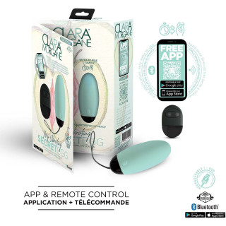 Oeuf vibrant SECRET EGG connecté télécommande vert et sa boîte