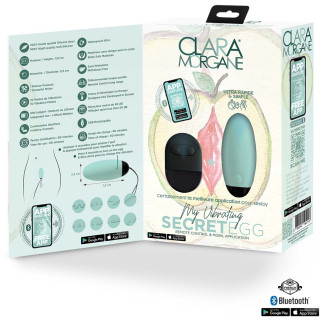 Oeuf vibrant SECRET EGG connecté télécommande vert emballage ouvert
