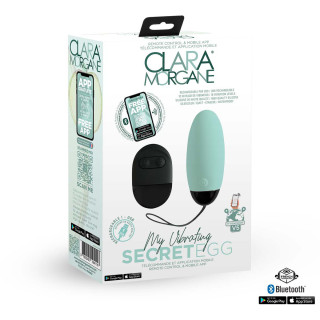 Oeuf vibrant SECRET EGG connecté télécommande vert packaging