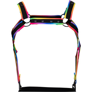 C4M harnais Neo multicolore S-L couleurs pétantes