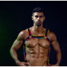 C4M harnais Neo multicolore S-L look sexy