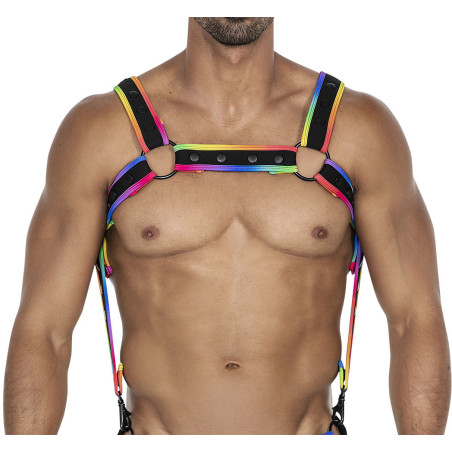 C4M harnais Neo multi-couleur S-L