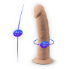 Gode ventouse 6" SilexD 15,5 x Ø4,3cm dimensions