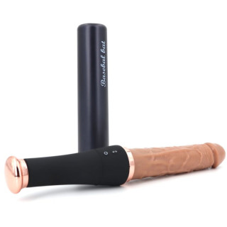 Gode poignée vibrant et va-et-vient Baseball Bat 20xØ4cm et son couvercle