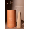 Cime Vibro et stimulateur clitoris USB