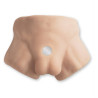 Apollo Torso réaliste bassin/Gode Chair S gode interchangeable