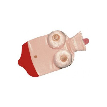 Bouillotte peluche femme