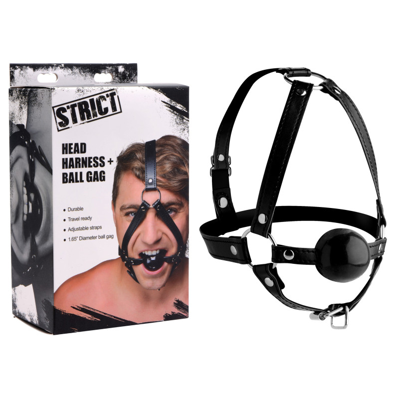 Harnais de tête avec baillon