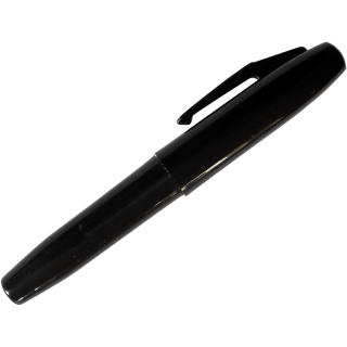 1 stylo pénis