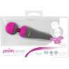 Masseur PalmPower tête interchangeable emballage