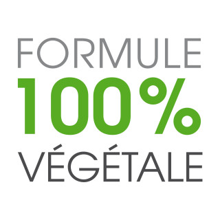 VirgileMax x2 