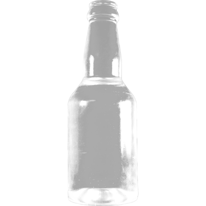 Plug bouteille B-BITCH transparent 18,5cm