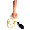 Pénis RÉEL avec bourses et ventouse gonflable 19cm