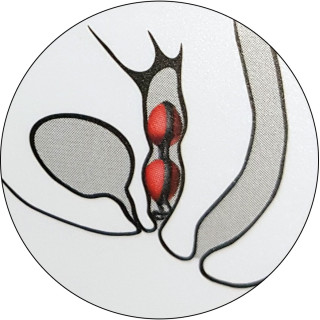 Boules Geisha Joyballs secret rouge Ø3,5cm