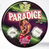 Jeu de dés PARADICE phosphorescent