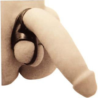 Cockring incurvée avec séparateur testicules mise en place
