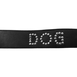 Collier cuir noir DOG
